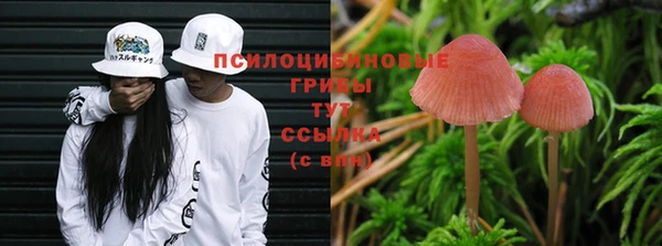 герыч Абинск