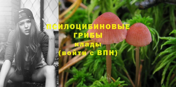 дживик Абдулино