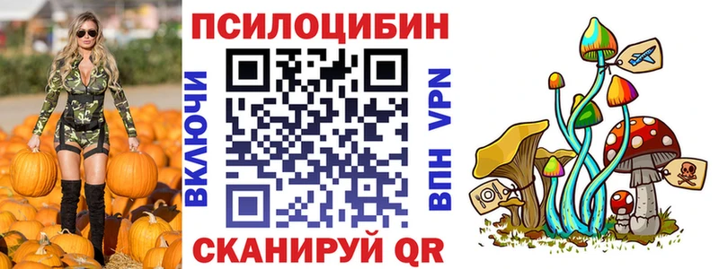shop клад Нариманов Псилоцибиновые грибы GOLDEN TEACHER как найти наркотики ОМГ ОМГ tor